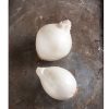 White Castle - (F1) Onion Seed