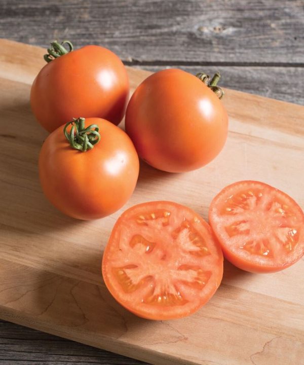 BHN 871 - (F1) Tomato Seed