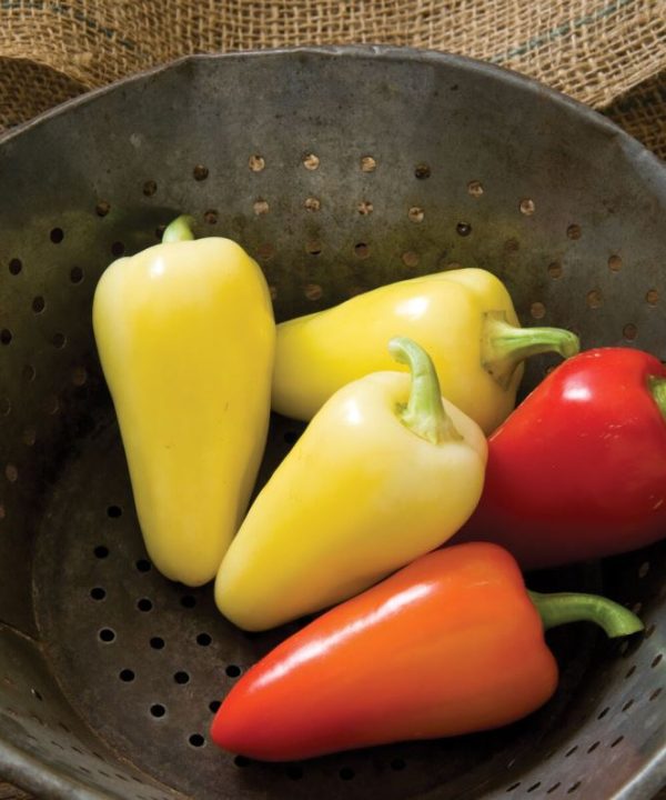 Havasu Pepper Seed (Santa Fe Pepper Seed)