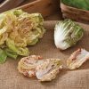 Bel Fiore - Radicchio Seed
