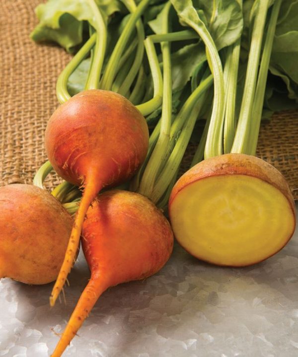 Boldor - Golden Beet Seeds