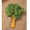 Oriole - Organic Swiss Chard Seed