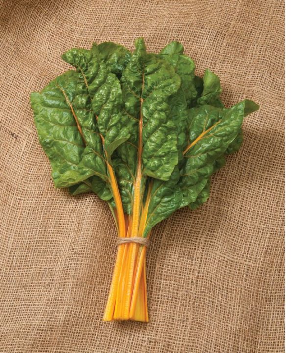 Oriole - Organic Swiss Chard Seed