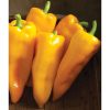 Escamillo - Organic (F1) Corno di Toro Pepper Seed