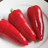 Cornito Rosso - Organic (F1) Corno di Toro Pepper Seed