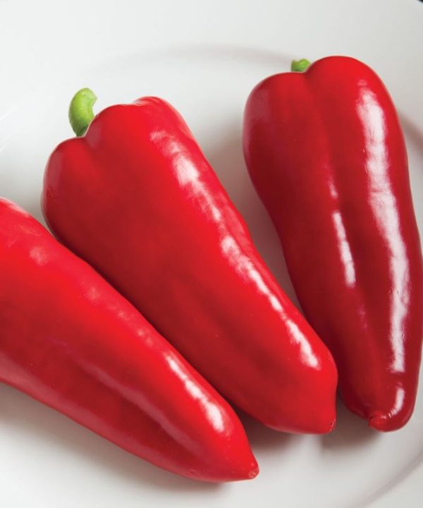 Cornito Rosso - Organic (F1) Corno di Toro Pepper Seed
