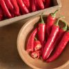 Red Ember - Organic Cayenne Pepper Seeds