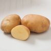 Satina - Seed Potatoes