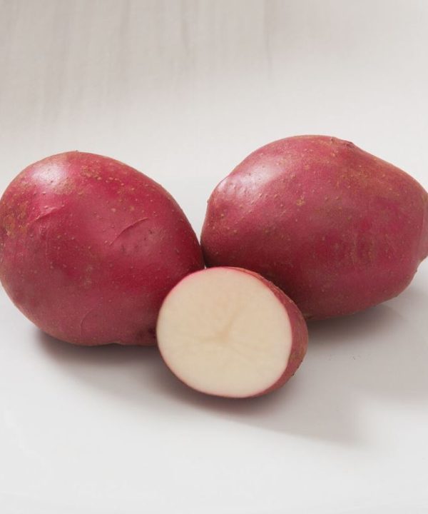 Strawberry Paw - Seed Potatoes