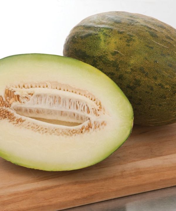 Sapomiel - (F1) Melon Seed
