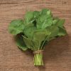 Amara - Mustard Green Seed