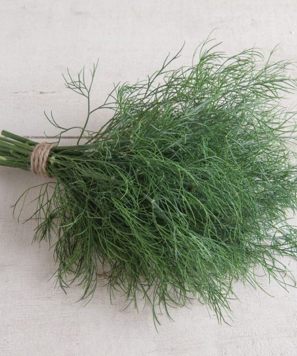 Hera - Dill Seed