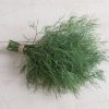 Hera - Organic Dill Seed