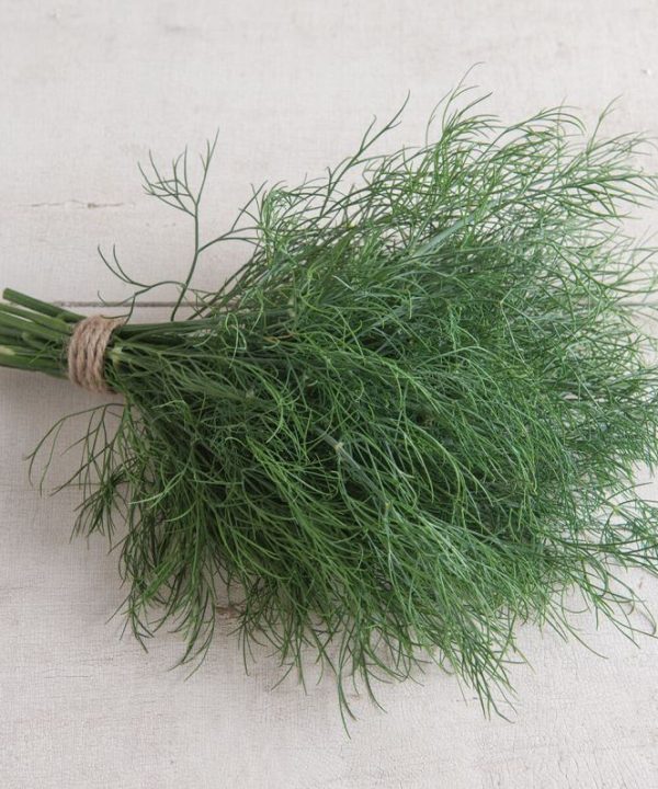 Hera - Organic Dill Seed