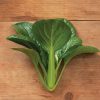 Green Pac - Bok Choy Seeds