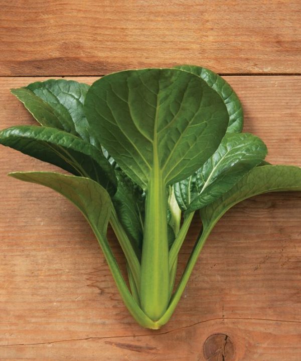 Green Pac - Bok Choy Seeds