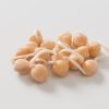 Beans, Garbanzo - Sprouting Seeds