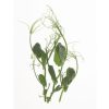 Tendril Pea - Organic Shoot Seed