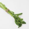 Gunsho - (F1) Choy Sum Seeds