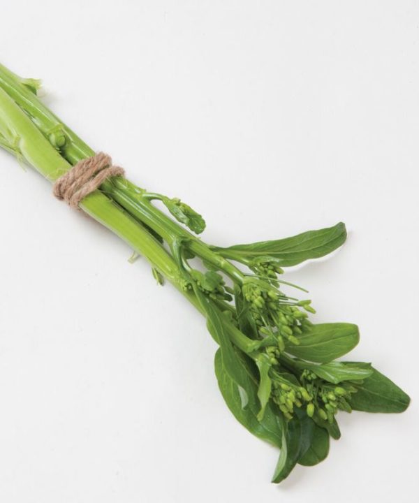 Gunsho - (F1) Choy Sum Seeds