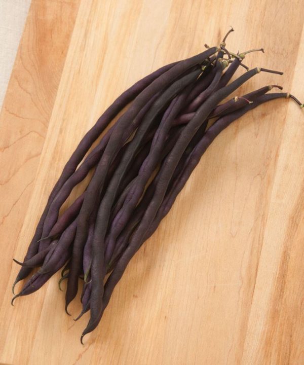 Carminat - Purple Pole Bean Seeds