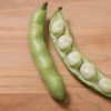 Vroma - Bean Seed