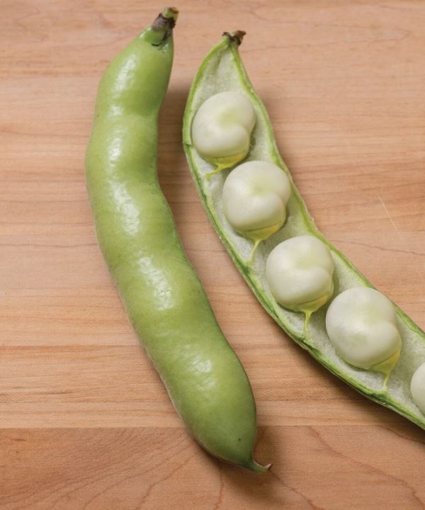 Vroma - Bean Seed