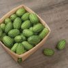 Mexican Sour Gherkin - Cucumber Seed