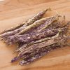 Dragon's Tongue - Bean Seed