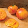 Margold - (F1) Tomato Seed