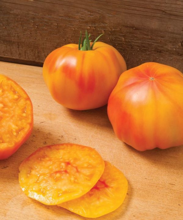 Margold - (F1) Tomato Seed