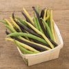 Trilogy - Organic Bean Seed