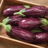 Angela - (F1) Eggplant Seed