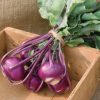 Kolibri - (F1) Kohlrabi Seed