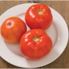 Skyway - Organic (F1) Tomato Seed