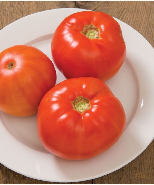 Skyway - Organic (F1) Tomato Seed