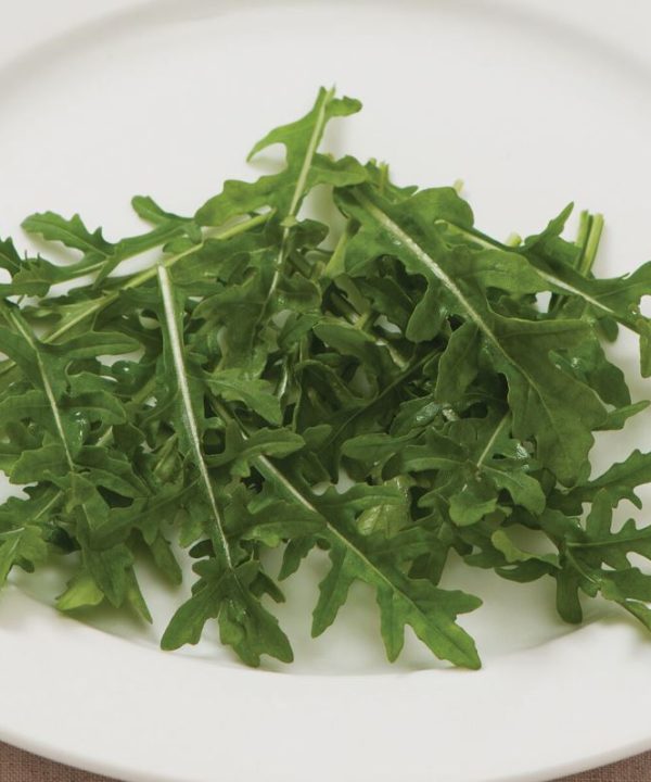 Bellezia - Arugula Seed