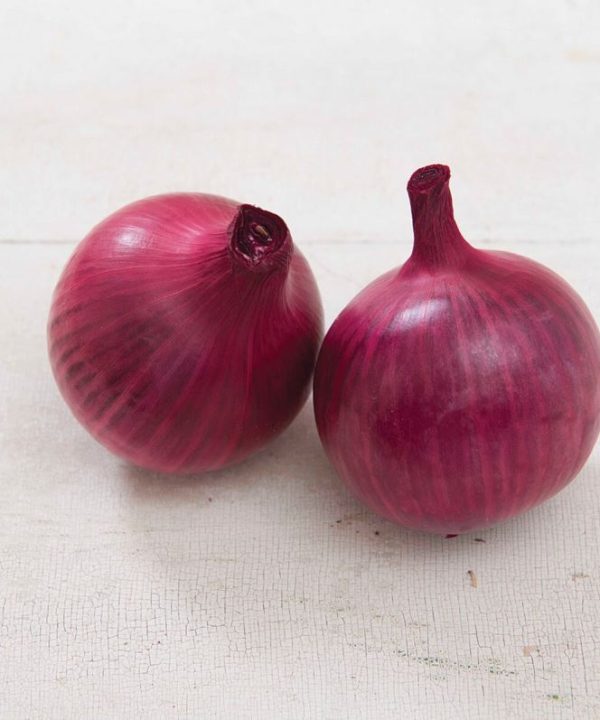 Red Hawk - (F1) Onion Seed