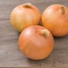 Expression - (F1) Onion Seed