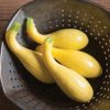 Gold Star - (F1) Yellow Summer Squash Seed