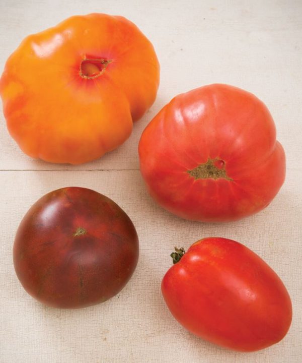 Heirloom Tomato Collection - Organic Seed