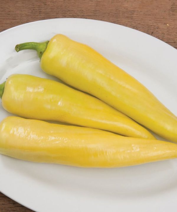 Goddess - (F1) Sweet Banana Pepper Seed