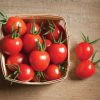 Cherry Bomb - Organic (F1) Tomato Seed