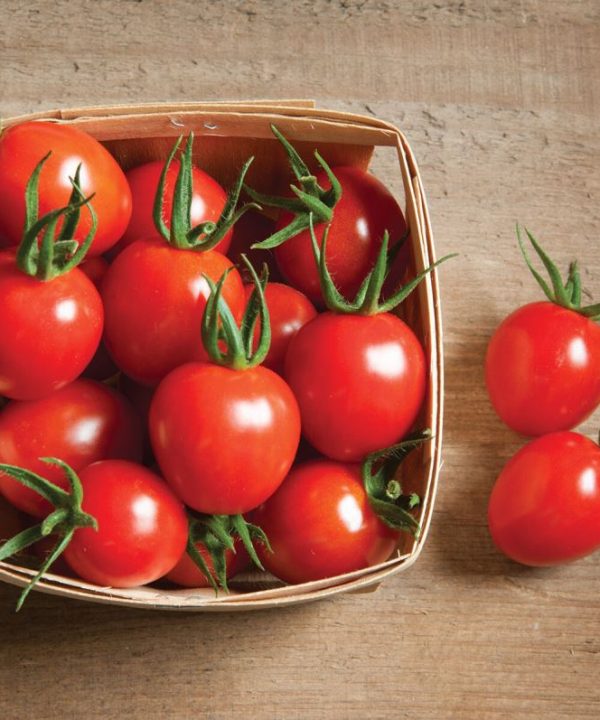 Cherry Bomb - Organic (F1) Tomato Seed