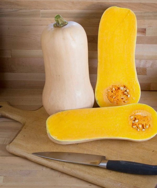 Waldo PMR - Organic (F1) Butternut Squash Seed