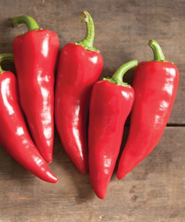 Flaming Flare - (F1) Fresno Pepper Seed