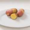 Pinto Gold - Seed Potatoes