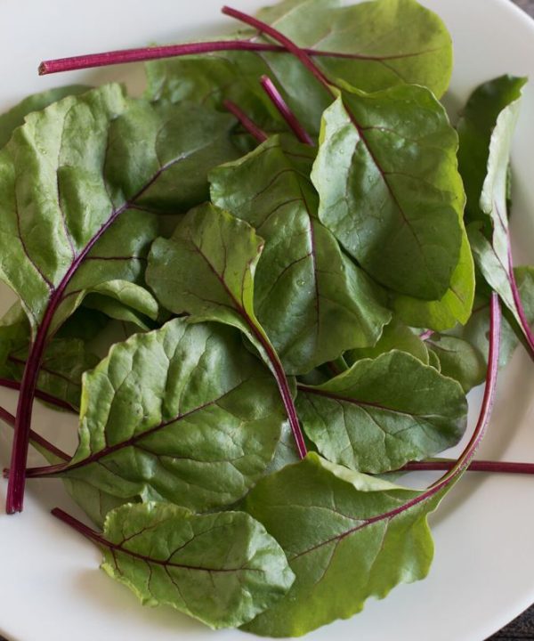 Fresh Pak - (F1) Beet Seed