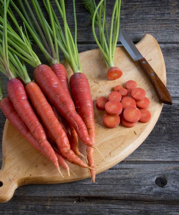 Malbec - (F1) Carrot Seed