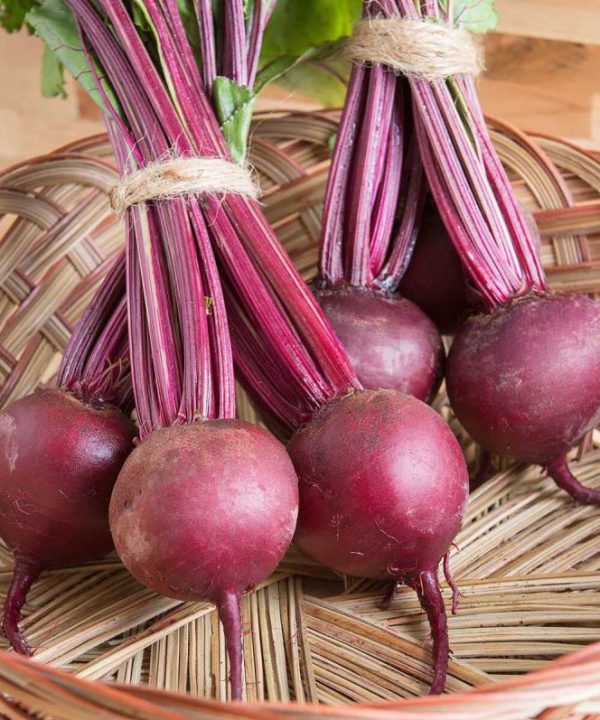 Boro - Organic (F1) Beet Seed